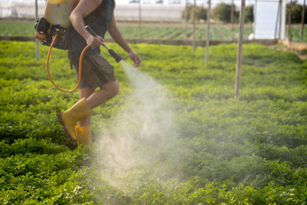 Best Best Pest Control Companies  in Williamstown, NJ