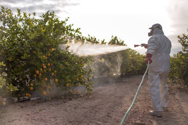 Wildlife Control Services in Williamstown, NJ