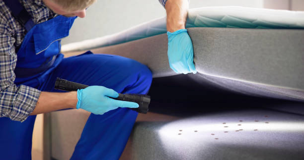 Best Flea Control Services  in Williamstown, NJ