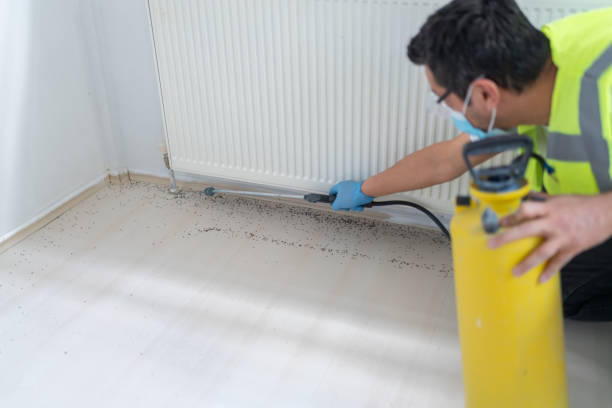 Best Residential Pest Control  in Williamstown, NJ